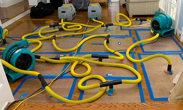 Professional Structural Drying And Dehumidification technician working in Adamstown, MD